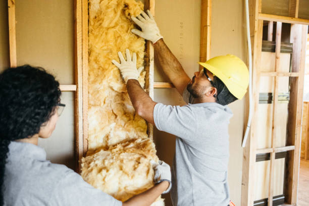 Types of Insulation We Offer in Hanford, CA